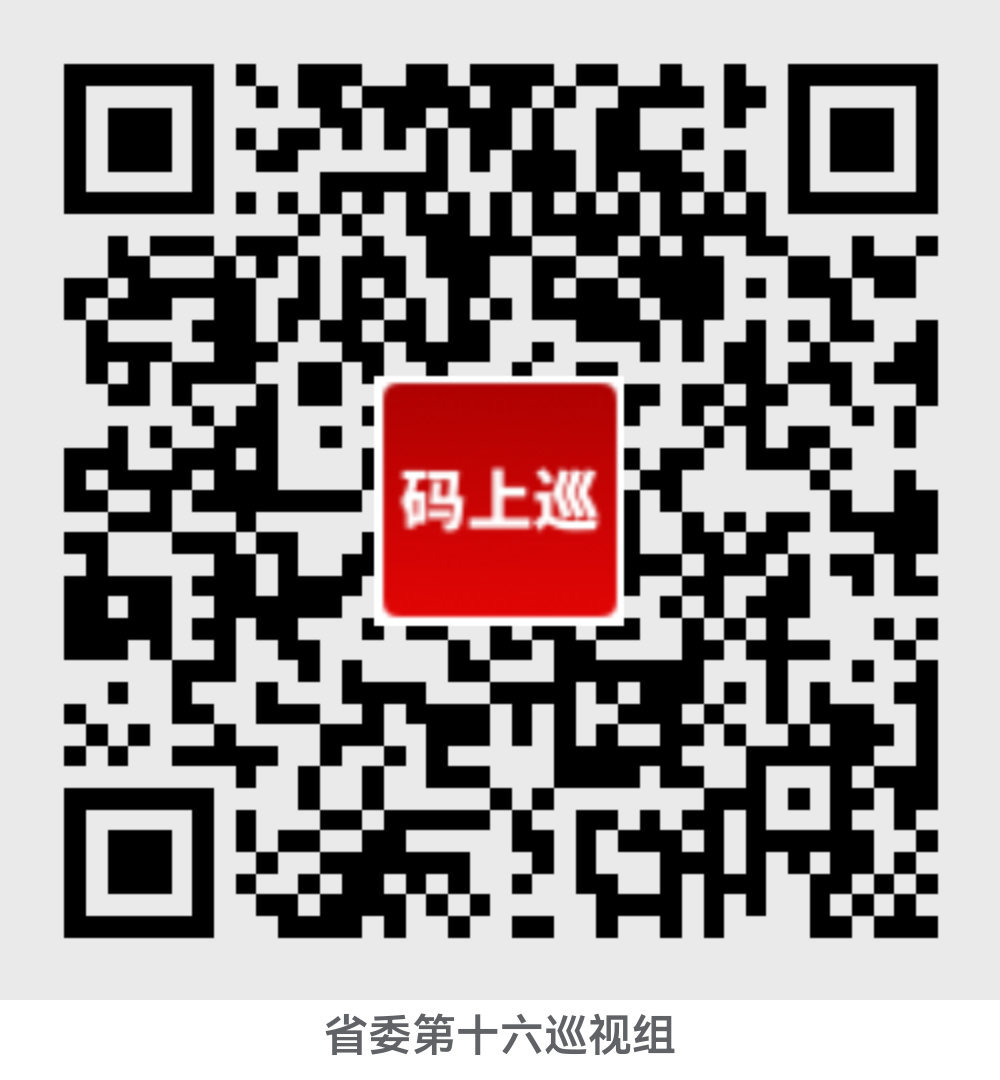 巡視公告 巡視公告